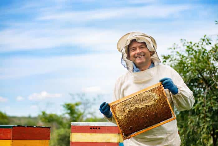 immagine di apicoltore